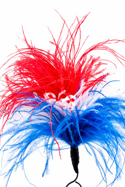Pennacchio struzzo con anello - alt. 18-20 cm - blu-bianco-rosso